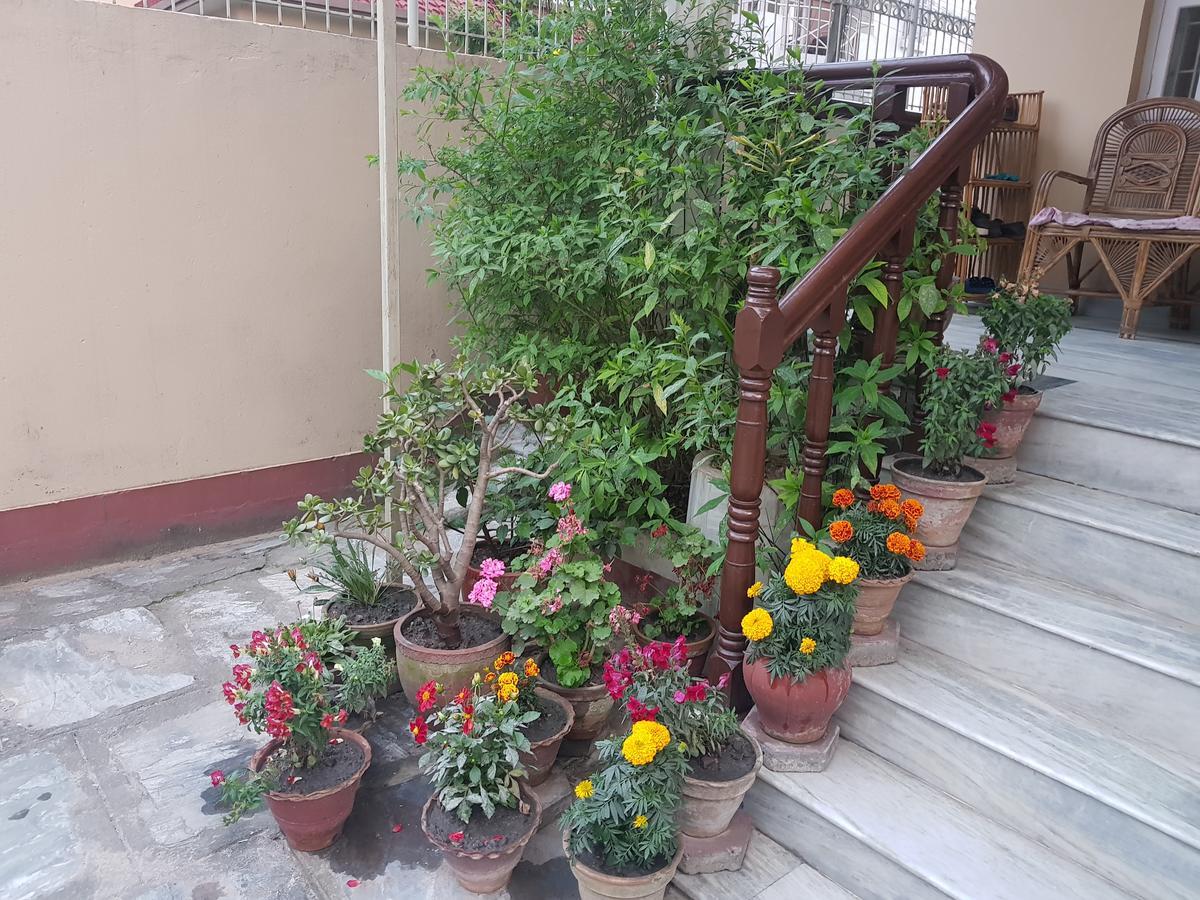 Cozy Home Jawlakhel Bagian luar foto